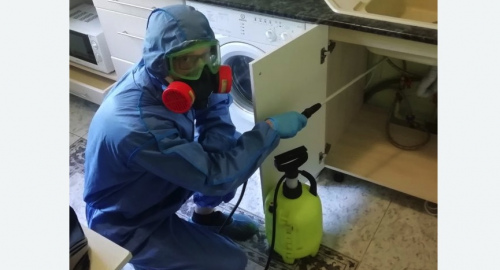 Уничтожение муравьев в квартире. Гаврилов-Ям