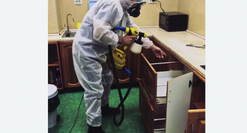 Уничтожение насекомых в квартире. Гаврилов-Ям