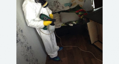 Обработка квартир от насекомых в Гаврилов-Яме