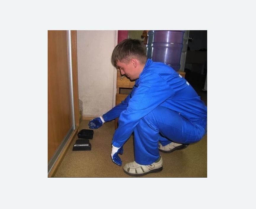 Дератизация крыс в Гаврилов-Яме