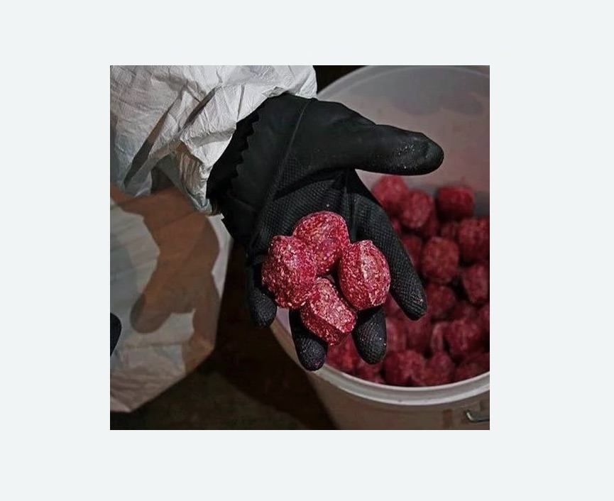 Обработка от крыс в Гаврилов-Яме