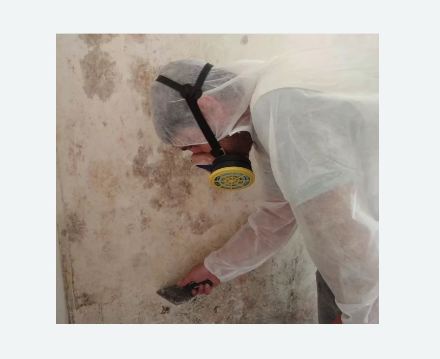 Обработка стен от плесени в Гаврилов-Яме