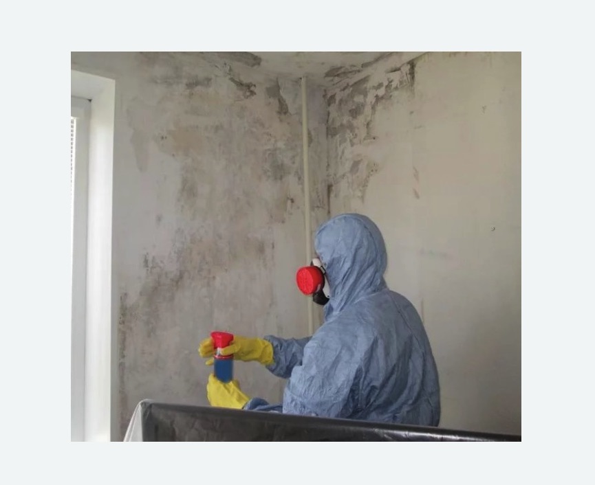 Удаление плесени в квартире в Гаврилов-Яме