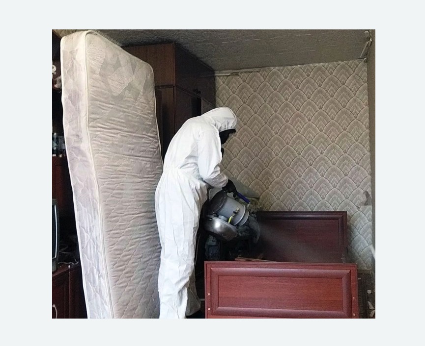 дезинфекция от клопов в Гаврилов-Яме