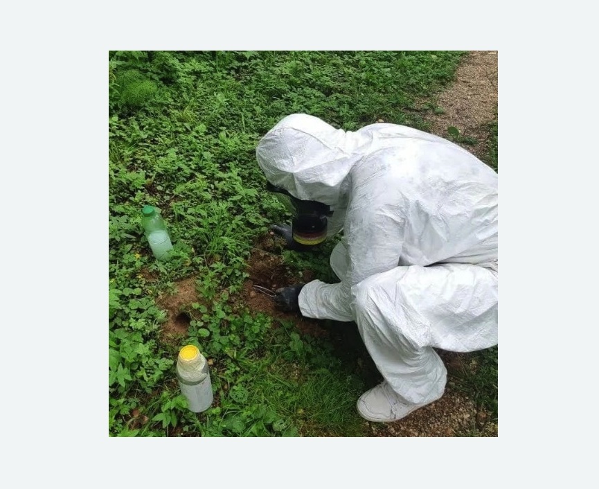 уничтожение кротов на участке в Гаврилов-Яме