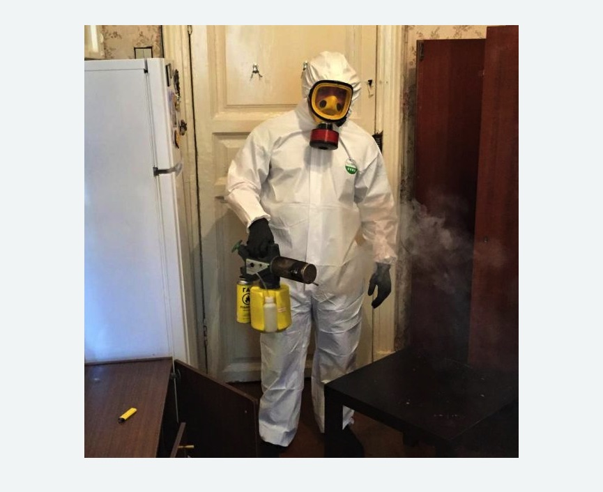 уничтожение муравьев в квартире в Гаврилов-Яме